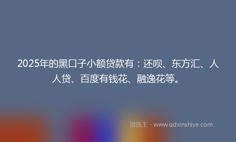 2025年的黑口子小额贷款有：还呗、东方汇、人人贷、百度有钱花、融逸花等。