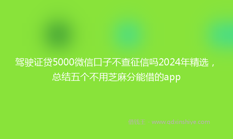 驾驶证贷5000微信口子不查征信吗2024年精选，总结五个不用芝麻分能借的app