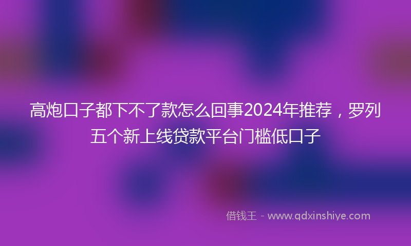 高炮口子都下不了款怎么回事2024年推荐，罗列五个新上线贷款平台门槛低口子