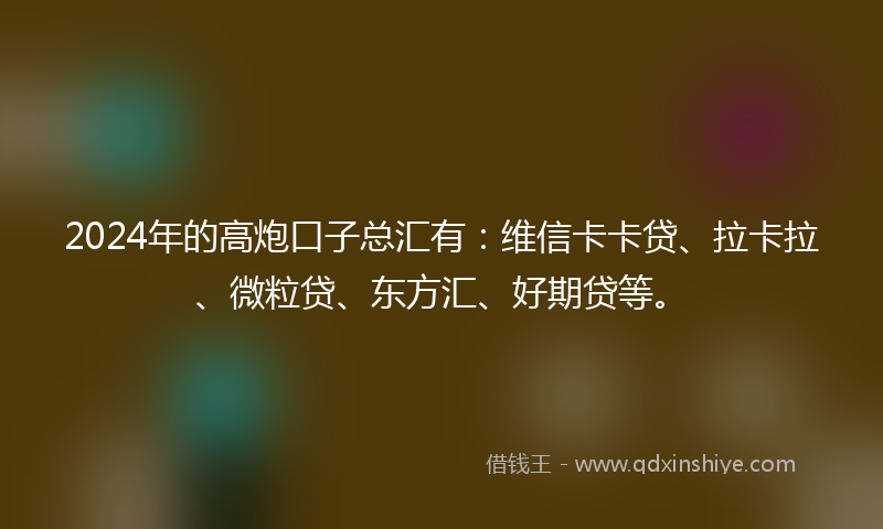 2024年的高炮口子总汇有：维信卡卡贷、拉卡拉、微粒贷、东方汇、好期贷等。