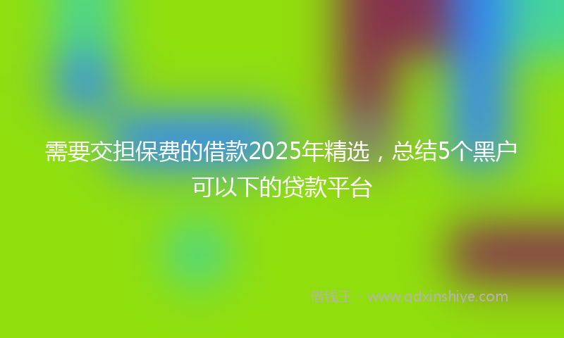 需要交担保费的借款2025年精选，总结5个黑户可以下的贷款平台