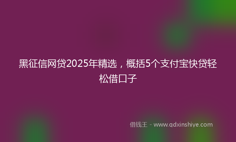 黑征信网贷2025年精选，概括5个支付宝快贷轻松借口子