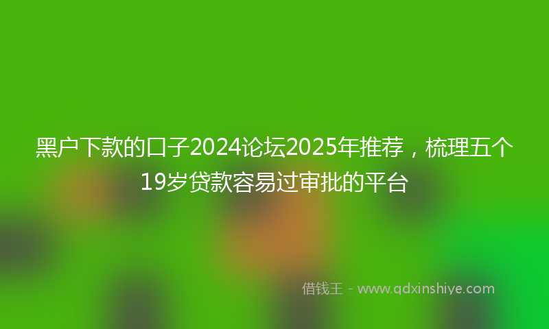 黑户下款的口子2024论坛2025年推荐，梳理五个19岁贷款容易过审批的平台