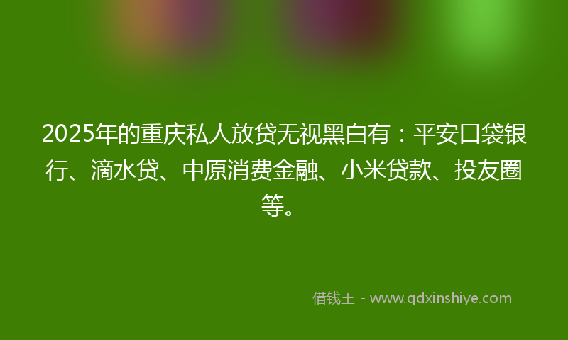 2025年的重庆私人放贷无视黑白有：平安口袋银行、滴水贷、中原消费金融、小米贷款、投友圈等。