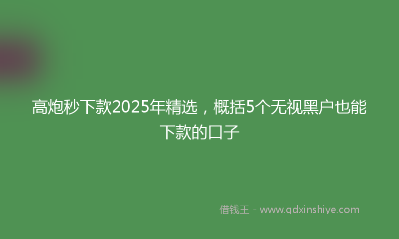 高炮秒下款2025年精选，概括5个无视黑户也能下款的口子