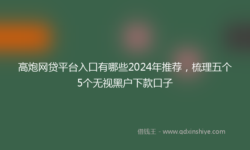 高炮网贷平台入口有哪些2024年推荐，梳理五个5个无视黑户下款口子