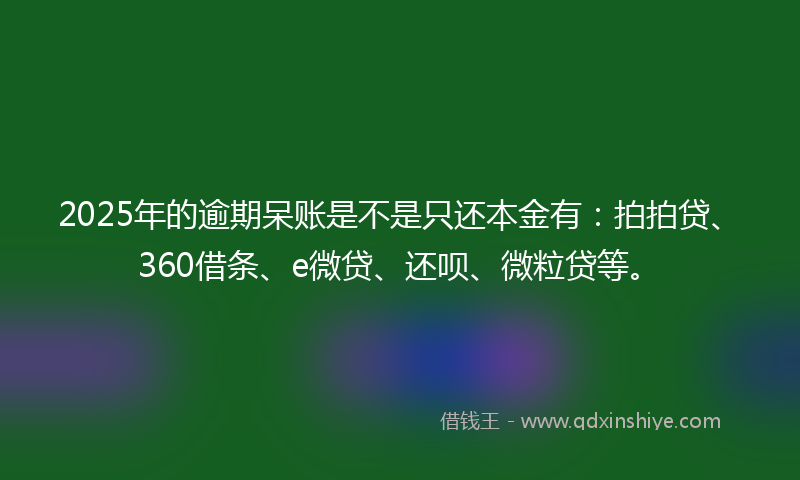 2025年的逾期呆账是不是只还本金有：拍拍贷、360借条、e微贷、还呗、微粒贷等。