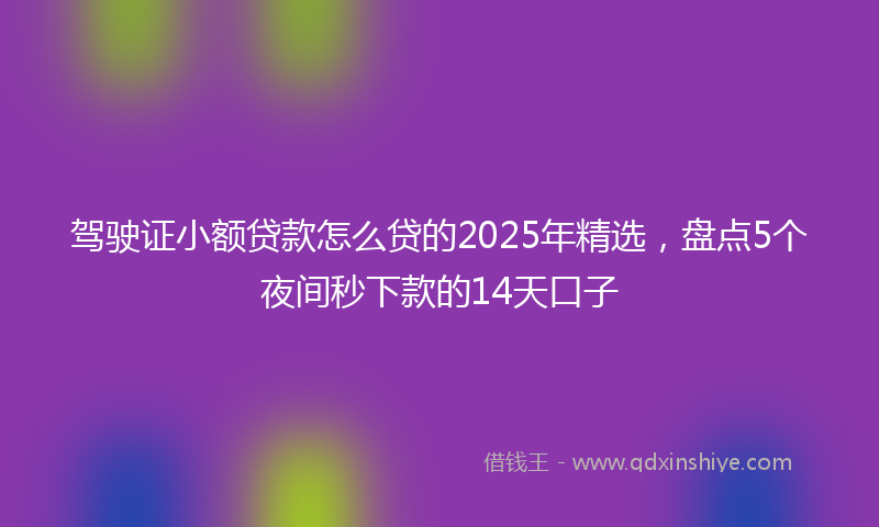 驾驶证小额贷款怎么贷的2025年精选，盘点5个夜间秒下款的14天口子
