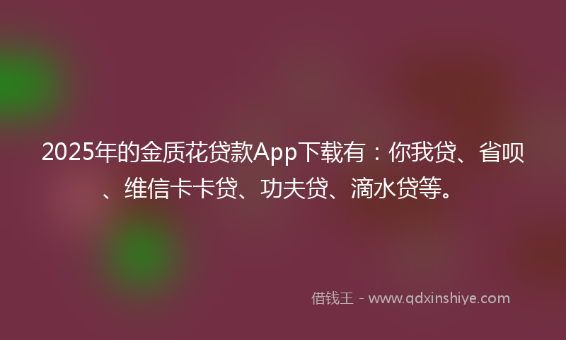 2025年的金质花贷款App下载有：你我贷、省呗、维信卡卡贷、功夫贷、滴水贷等。