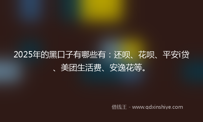 2025年的黑口子有哪些有：还呗、花呗、平安i贷、美团生活费、安逸花等。
