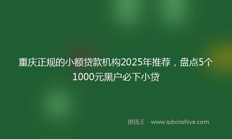 重庆正规的小额贷款机构2025年推荐，盘点5个1000元黑户必下小贷