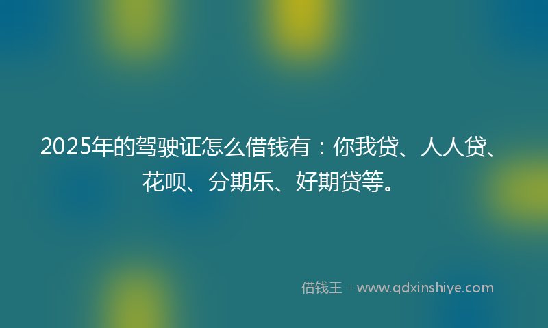 2025年的驾驶证怎么借钱有：你我贷、人人贷、花呗、分期乐、好期贷等。