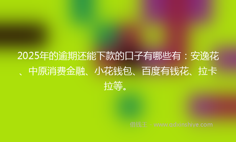 2025年的逾期还能下款的口子有哪些有：安逸花、中原消费金融、小花钱包、百度有钱花、拉卡拉等。