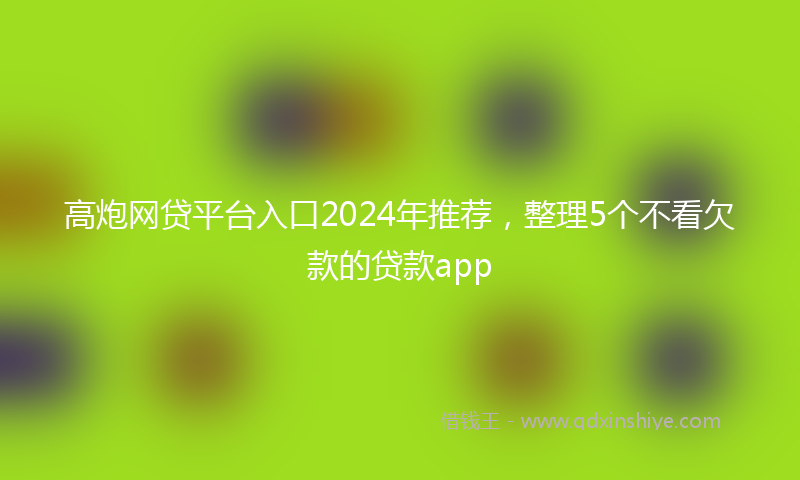 高炮网贷平台入口2024年推荐，整理5个不看欠款的贷款app