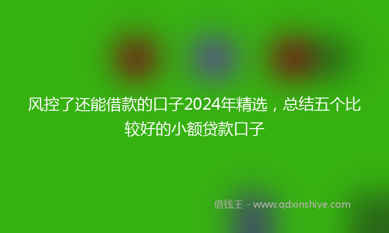 风控了还能借款的口子2024年精选，总结五个比较好的小额贷款口子