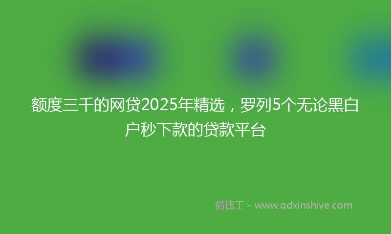 额度三千的网贷2025年精选，罗列5个无论黑白户秒下款的贷款平台