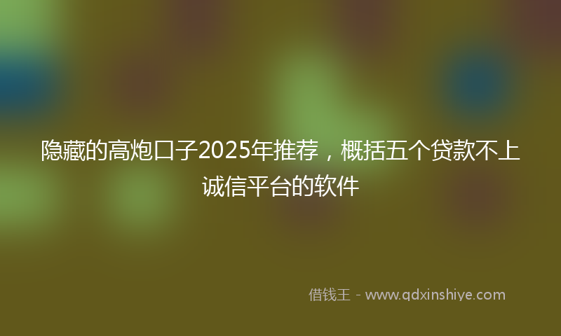 隐藏的高炮口子2025年推荐，概括五个贷款不上诚信平台的软件