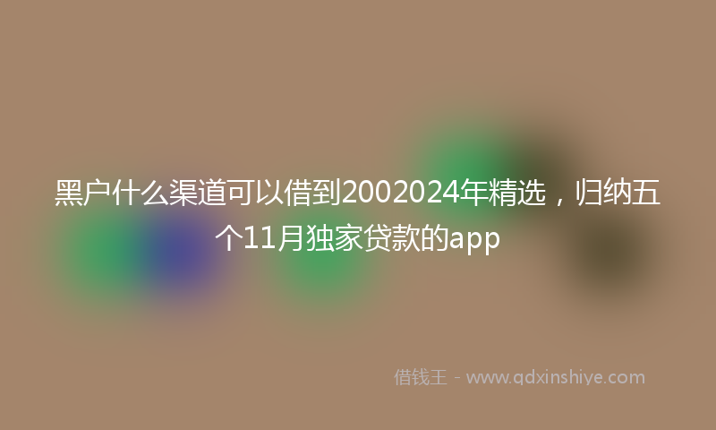 黑户什么渠道可以借到2002024年精选，归纳五个11月独家贷款的app