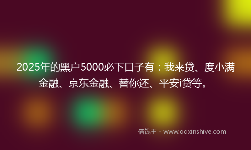 2025年的黑户5000必下口子有：我来贷、度小满金融、京东金融、替你还、平安i贷等。