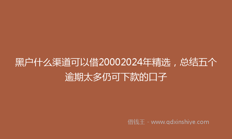 黑户什么渠道可以借20002024年精选，总结五个逾期太多仍可下款的口子