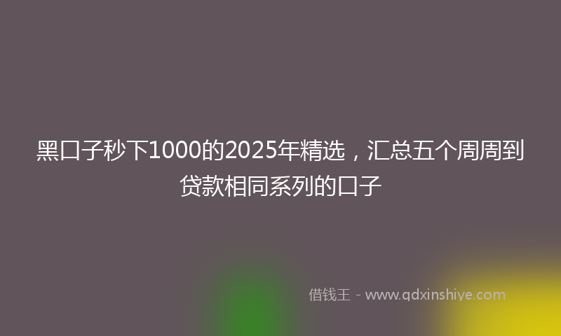 黑口子秒下1000的2025年精选，汇总五个周周到贷款相同系列的口子