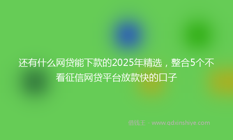 还有什么网贷能下款的2025年精选，整合5个不看征信网贷平台放款快的口子