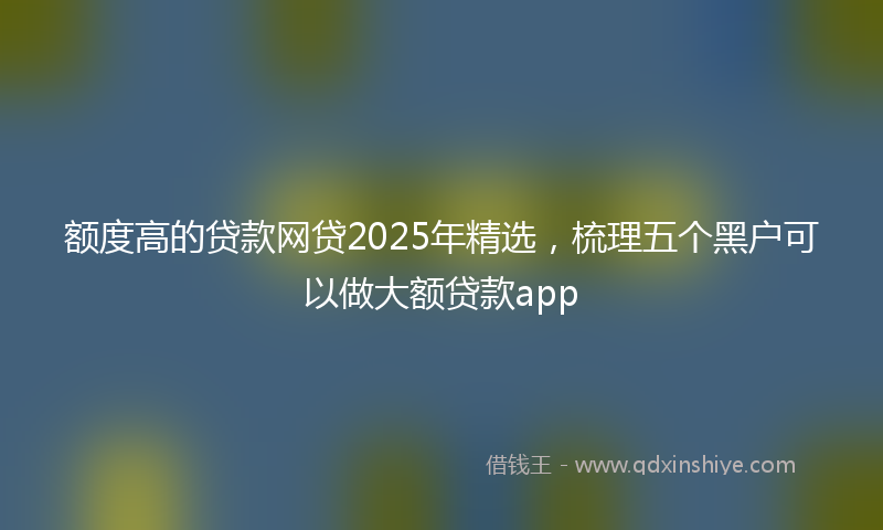 额度高的贷款网贷2025年精选，梳理五个黑户可以做大额贷款app