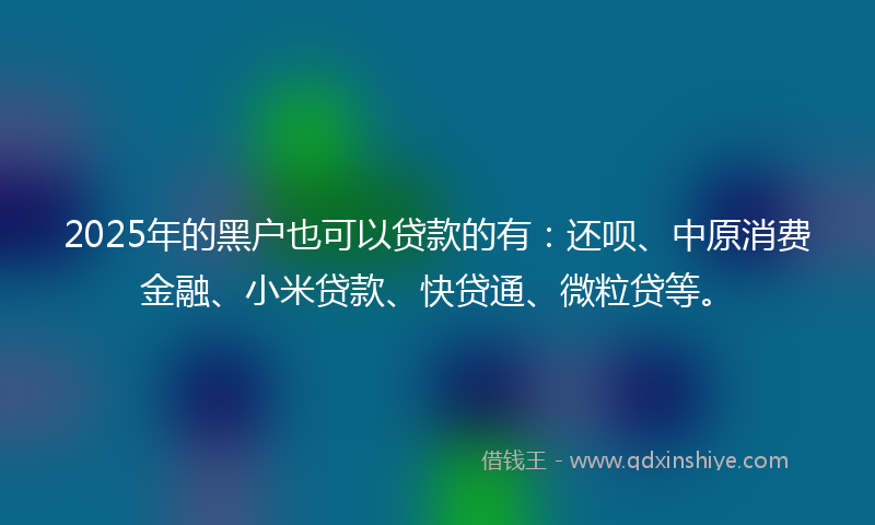 2025年的黑户也可以贷款的有：还呗、中原消费金融、小米贷款、快贷通、微粒贷等。