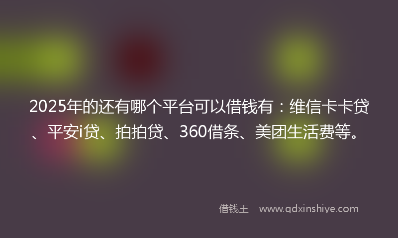 2025年的还有哪个平台可以借钱有：维信卡卡贷、平安i贷、拍拍贷、360借条、美团生活费等。