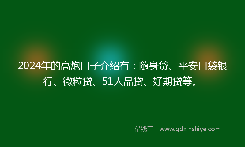 2024年的高炮口子介绍有：随身贷、平安口袋银行、微粒贷、51人品贷、好期贷等。