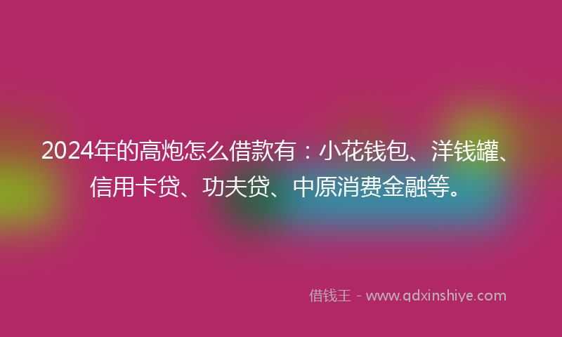 2024年的高炮怎么借款有：小花钱包、洋钱罐、信用卡贷、功夫贷、中原消费金融等。