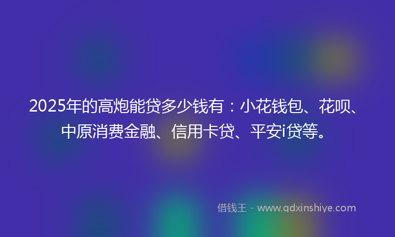 2025年的高炮能贷多少钱有：小花钱包、花呗、中原消费金融、信用卡贷、平安i贷等。