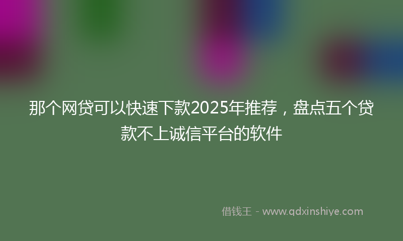 那个网贷可以快速下款2025年推荐，盘点五个贷款不上诚信平台的软件