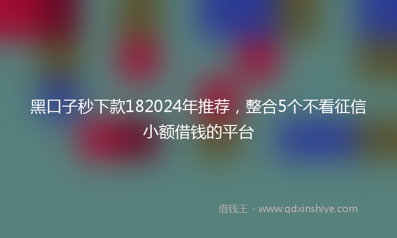 黑口子秒下款182024年推荐，整合5个不看征信小额借钱的平台