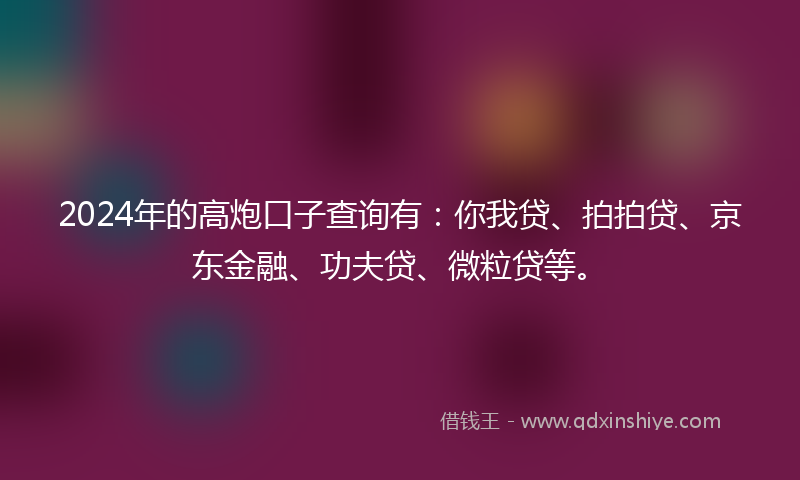2024年的高炮口子查询有：你我贷、拍拍贷、京东金融、功夫贷、微粒贷等。