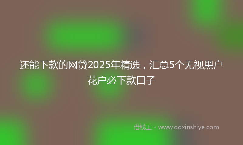 还能下款的网贷2025年精选，汇总5个无视黑户花户必下款口子