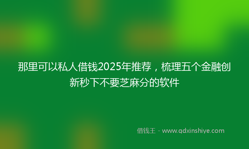 那里可以私人借钱2025年推荐，梳理五个金融创新秒下不要芝麻分的软件