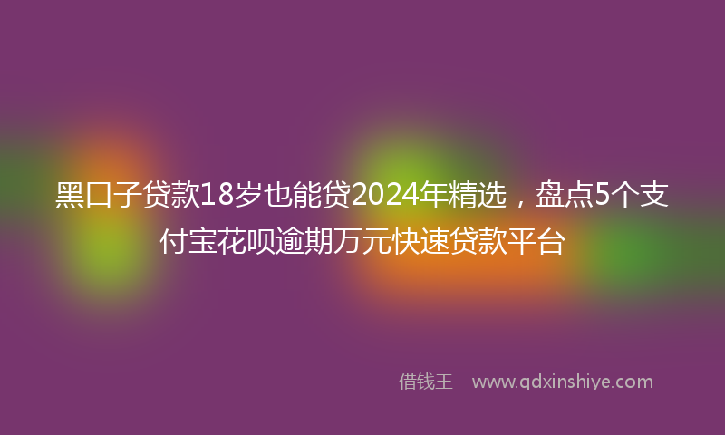 黑口子贷款18岁也能贷2024年精选，盘点5个支付宝花呗逾期万元快速贷款平台