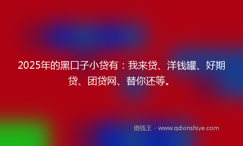 2025年的黑口子小贷有：我来贷、洋钱罐、好期贷、团贷网、替你还等。