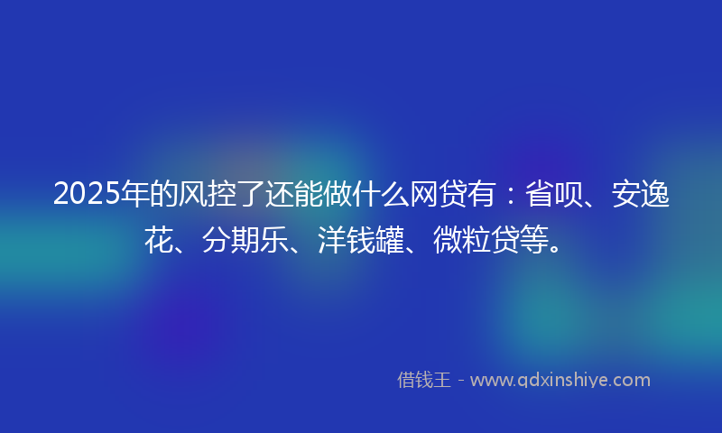 2025年的风控了还能做什么网贷有：省呗、安逸花、分期乐、洋钱罐、微粒贷等。