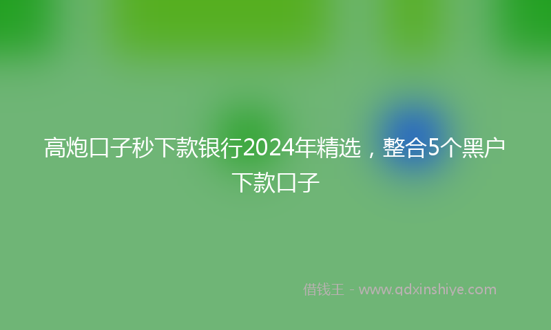 高炮口子秒下款银行2024年精选，整合5个黑户下款口子
