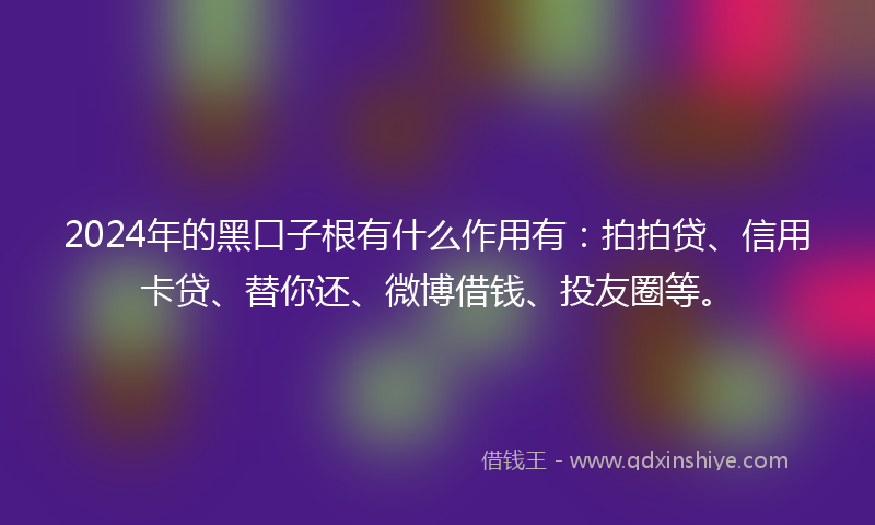 2024年的黑口子根有什么作用有：拍拍贷、信用卡贷、替你还、微博借钱、投友圈等。