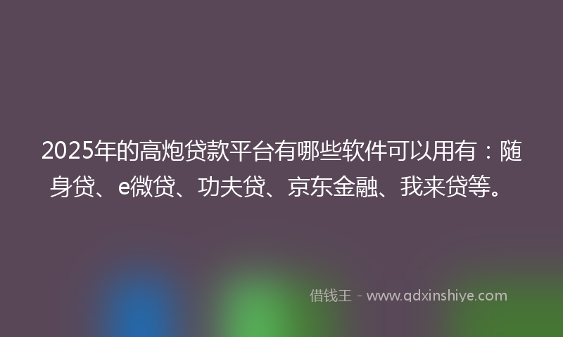 2025年的高炮贷款平台有哪些软件可以用有：随身贷、e微贷、功夫贷、京东金融、我来贷等。