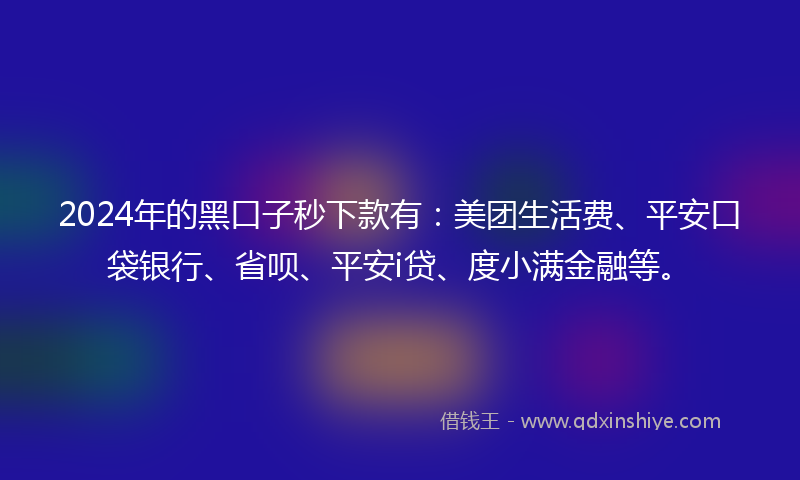 2024年的黑口子秒下款有：美团生活费、平安口袋银行、省呗、平安i贷、度小满金融等。