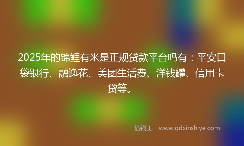 2025年的锦鲤有米是正规贷款平台吗有：平安口袋银行、融逸花、美团生活费、洋钱罐、信用卡贷等。