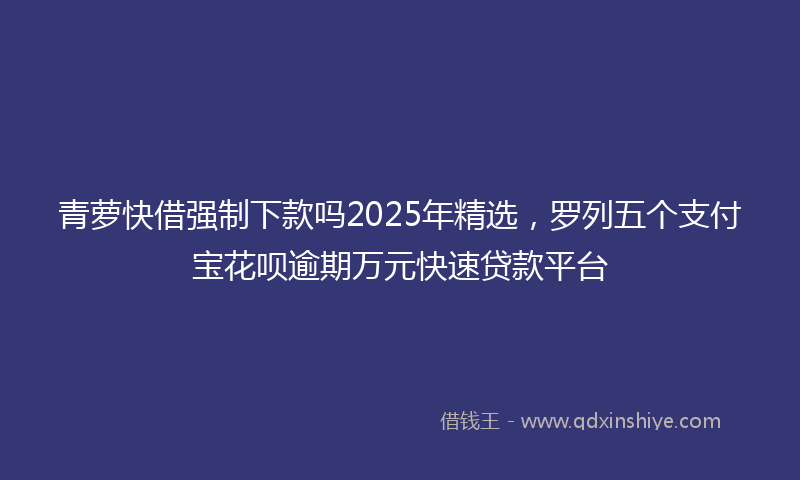 青萝快借强制下款吗2025年精选，罗列五个支付宝花呗逾期万元快速贷款平台
