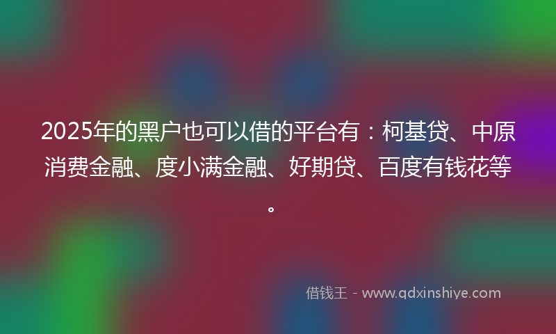 2025年的黑户也可以借的平台有：柯基贷、中原消费金融、度小满金融、好期贷、百度有钱花等。
