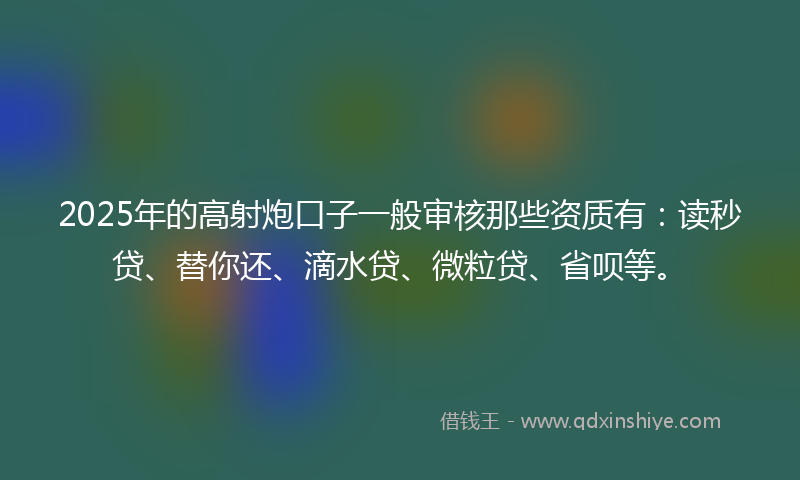 2025年的高射炮口子一般审核那些资质有：读秒贷、替你还、滴水贷、微粒贷、省呗等。