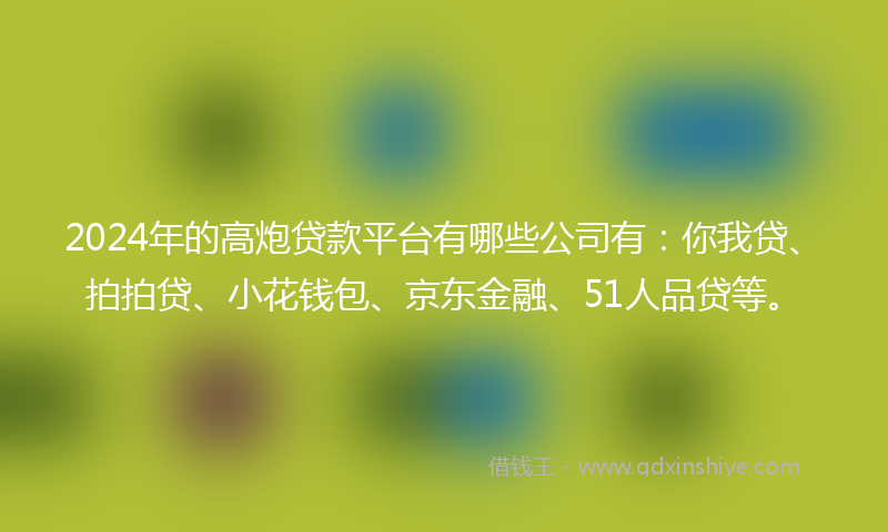 2024年的高炮贷款平台有哪些公司有：你我贷、拍拍贷、小花钱包、京东金融、51人品贷等。
