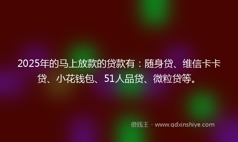 2025年的马上放款的贷款有：随身贷、维信卡卡贷、小花钱包、51人品贷、微粒贷等。